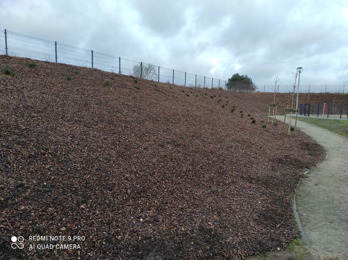 Galeria zdjęć: Zagospodarowana skarpa przy Przedszkolu i Żłobku w Potęgowie