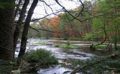 Rzeka Łupawa (Fot. J. Kiciński)